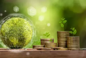 Money coins with small plants growing, symbolizing the use of carbon credits for sustainability and green economy.