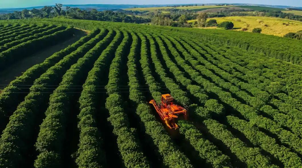 Food security in a crop field viewed from above, featuring rows of green crops and agricultural machinery harvesting in the center of the field.