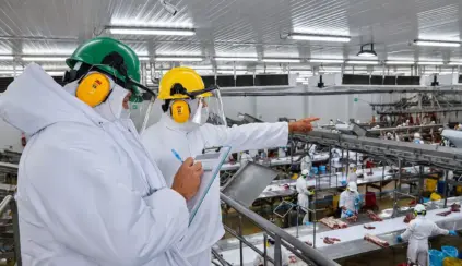 SIF: Production line workers wearing hard hats and protective clothing in a food processing plant, performing inspections and checks on food products at a workstation. Spacious and organized industrial environment.