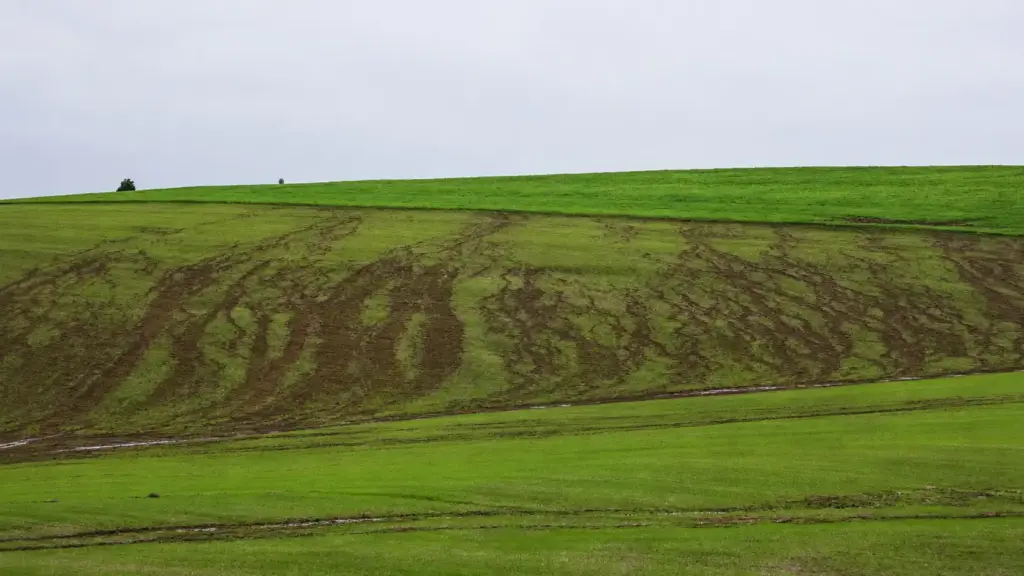 Rural landscape featuring pasture areas and patches of exposed soil amidst a green field in the background under a cloudy sky, suggesting regenerative livestock farming practices