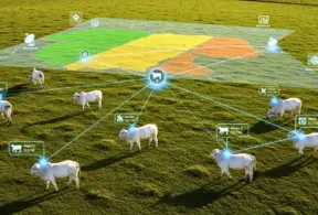 Imagen ilustrando la trazabilidad de la carne bovina utilizando blockchain, satélites e inteligencia artificial, con ganado y un mapa interactivo en el campo.