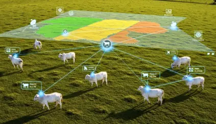 Imagen ilustrando la trazabilidad de la carne bovina utilizando blockchain, satélites e inteligencia artificial, con ganado y un mapa interactivo en el campo.