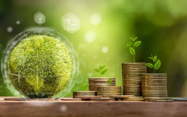 Monedas de dinero con pequeñas plantas creciendo, simbolizando el uso de créditos de carbono para la sostenibilidad y la economía verde.
