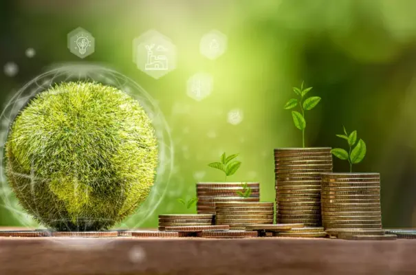 Monedas de dinero con pequeñas plantas creciendo, simbolizando el uso de créditos de carbono para la sostenibilidad y la economía verde.