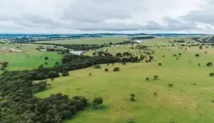 Vista aérea de una granja con pastizales verdes y rebaños de ganado bovino entre colinas y campos, un paisaje asociado al grass-fed en Europa.
