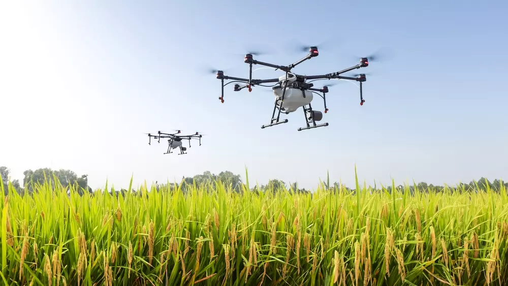 Drone agrícola sobre campo de cultivo, impulsionando a inovação no setor rural e ajudando o produtor rural a aumentar a produtividade agrícola.