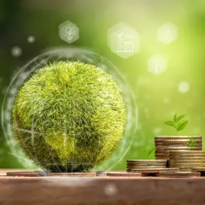 Moedas de dinheiro com pequenas plantas crescendo, simbolizando o uso de créditos de carbono para sustentabilidade e economia verde.