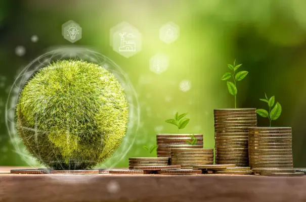 Moedas de dinheiro com pequenas plantas crescendo, simbolizando o uso de créditos de carbono para sustentabilidade e economia verde.