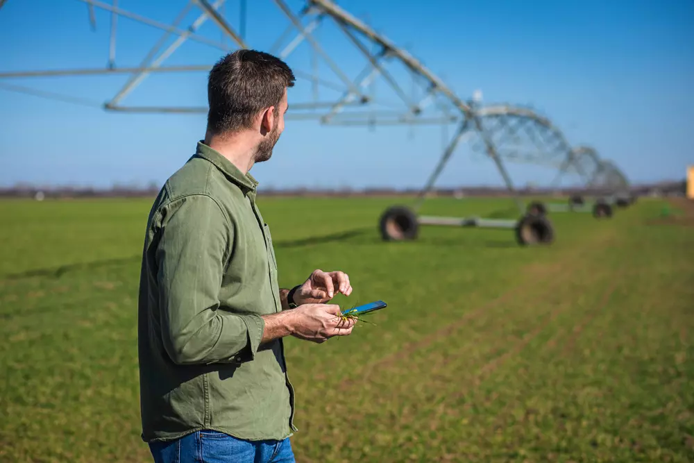 Produtor rural utilizando dispositivo móvel em campo agrícola com sistema de irrigação automatizado ao fundo.