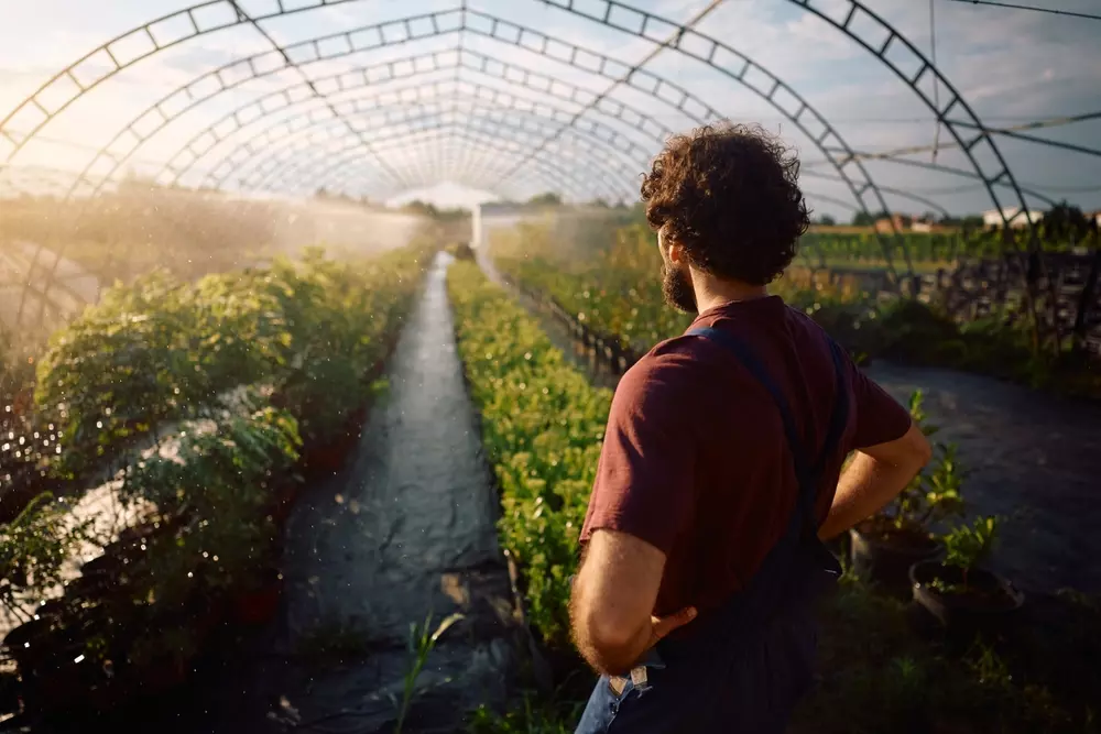 Homem observando uma plantação com os braços apoiados em sua cintura e o ambiente é claro e iluminado.