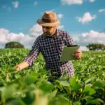 Homem agrônomo analisando plantações verdes em campo amplo sob céu azul com nuvens, usando tablet para monitorar a plantação, focado no trabalho agrícola sustentável.