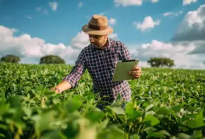 Homem agrônomo analisando plantações verdes em campo amplo sob céu azul com nuvens, usando tablet para monitorar a plantação, focado no trabalho agrícola sustentável.