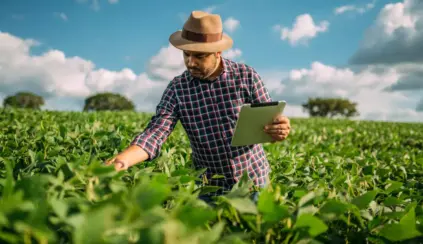 Homem agrônomo analisando plantações verdes em campo amplo sob céu azul com nuvens, usando tablet para monitorar a plantação, focado no trabalho agrícola sustentável.