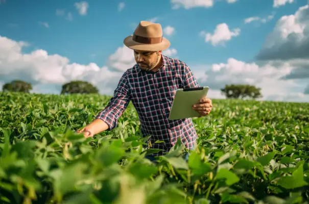 Homem agrônomo analisando plantações verdes em campo amplo sob céu azul com nuvens, usando tablet para monitorar a plantação, focado no trabalho agrícola sustentável.