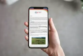 Pessoa segurando um smartphone exibindo uma newsletter da My Minerva Foods.