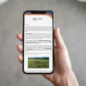 Pessoa segurando um smartphone exibindo uma newsletter da My Minerva Foods.