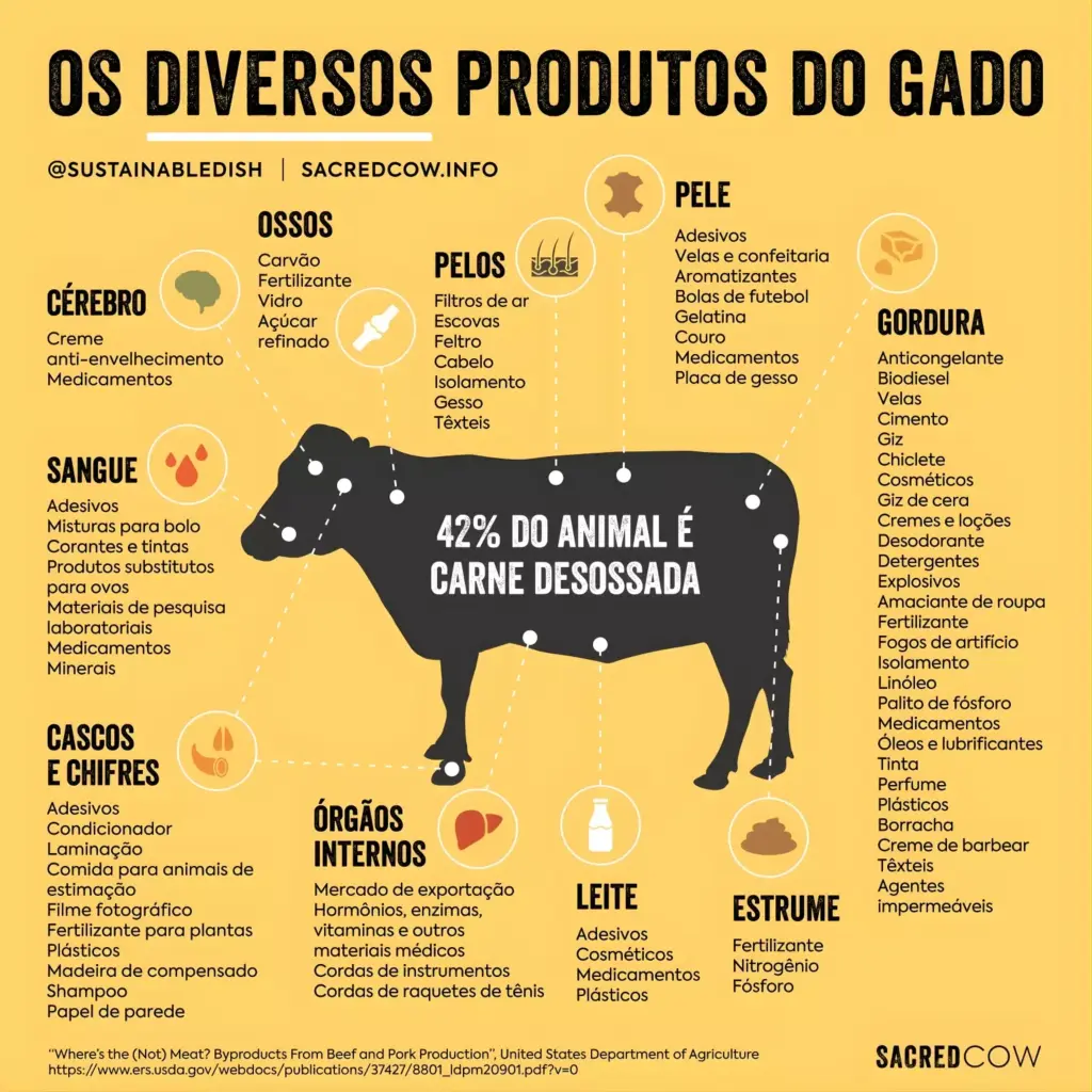 Infográfico sobre os diversos produtos derivados de bovinos, incluindo ossos.