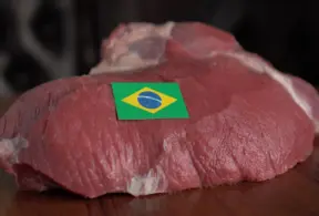 Corte de carne bovina sobre uma mesa de madeira com uma etiqueta da bandeira do Brasil, representando exportação de carne bovina brasileira.