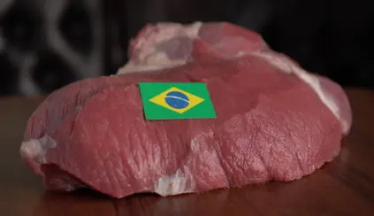 Corte de carne bovina sobre uma mesa de madeira com uma etiqueta da bandeira do Brasil, representando exportação de carne bovina brasileira.
