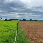 Um campo de pastagem degradada ao lado de uma área de recuperação de pastagens com cerca de arame, demonstrando o processo de recuperação ambiental.