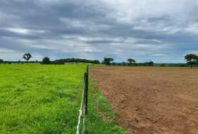 Um campo de pastagem degradada ao lado de uma área de recuperação de pastagens com cerca de arame, demonstrando o processo de recuperação ambiental.