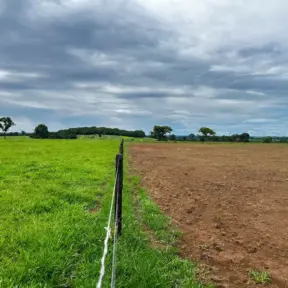 Um campo de pastagem degradada ao lado de uma área de recuperação de pastagens com cerca de arame, demonstrando o processo de recuperação ambiental.