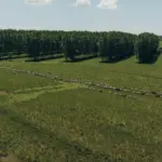 Vista aérea de uma fazenda com rebanho de gado, destacando a importância da tecnologia e rastreabilidade na cadeia da carne para controle e transparência