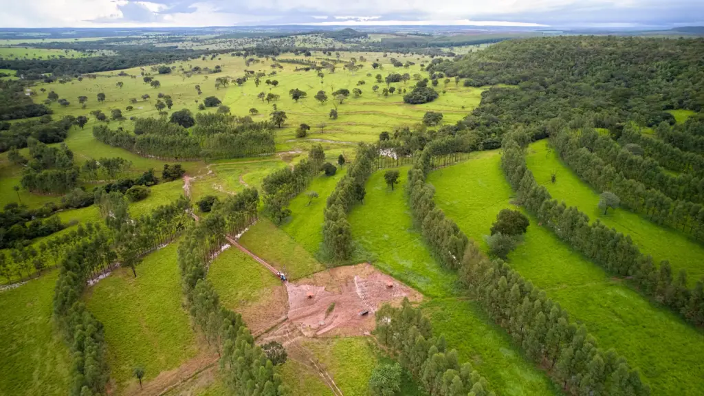 Vista aérea de um pasto da ILPF, mostrando áreas de plantio, árvores e vegetação verdejante, destacando práticas de integração lavoura-pecuária-floresta