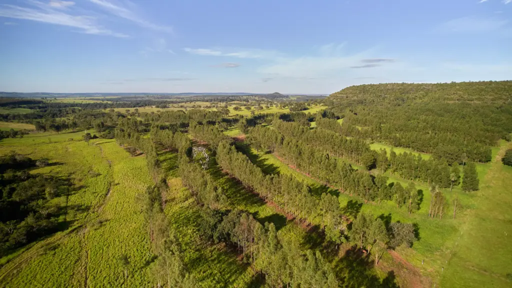 Vista aérea de um pasto da ILPF, mostrando áreas de plantio, árvores e vegetação verdejante, destacando práticas de integração lavoura-pecuária-floresta