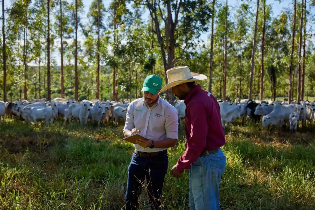 Two men talking on a cattle farm with a herd in the background