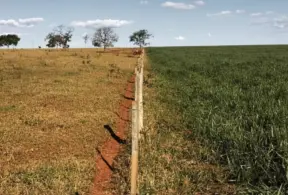 Cerca divide pastagens de baixa produtividade à esquerda e um campo verde e fértil à direita após ser recuperado.