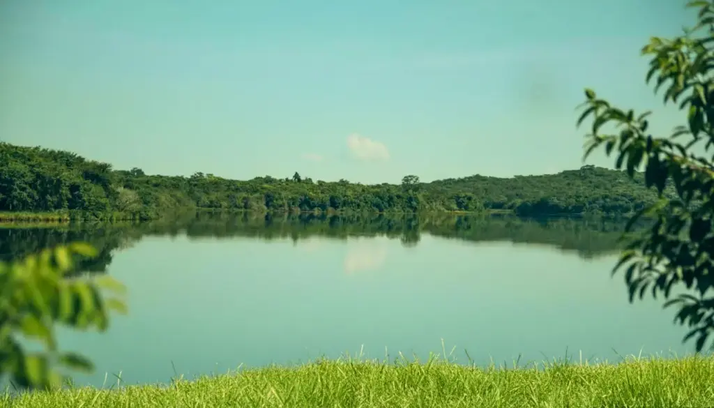 Rio cercado por vegetação, representando a importância da gestão hídrica para a preservação dos recursos naturais e a sustentabilidade