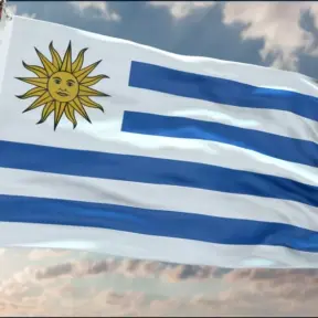 Bandeira do Uruguai hasteada sob céu nublado, representando as práticas de manejos de solo do país