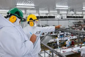 SIF: Profissionais em linha de produção com capacetes e roupas de proteção em uma indústria de alimentos, realizando inspeção e verificações em bancada com alimentos. Ambiente industrial amplo e organizado.