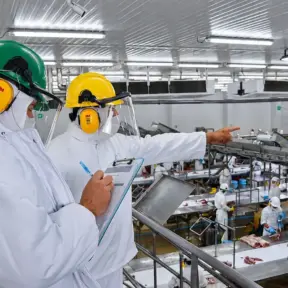 SIF: Profissionais em linha de produção com capacetes e roupas de proteção em uma indústria de alimentos, realizando inspeção e verificações em bancada com alimentos. Ambiente industrial amplo e organizado.