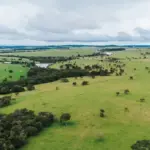 Vista aérea de uma fazenda com pastagens verdes e rebanhos de bovinos em meio a colinas e campos, cenário associado a grass-fed na Europa