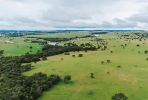 Vista aérea de uma fazenda com pastagens verdes e rebanhos de bovinos em meio a colinas e campos, cenário associado a grass-fed na Europa