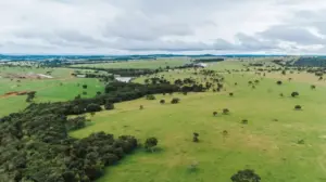 Selos “grass-fed” elevam a conversão de vendas de carne na Europa