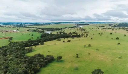 Vista aérea de uma fazenda com pastagens verdes e rebanhos de bovinos em meio a colinas e campos, cenário associado a grass-fed na Europa