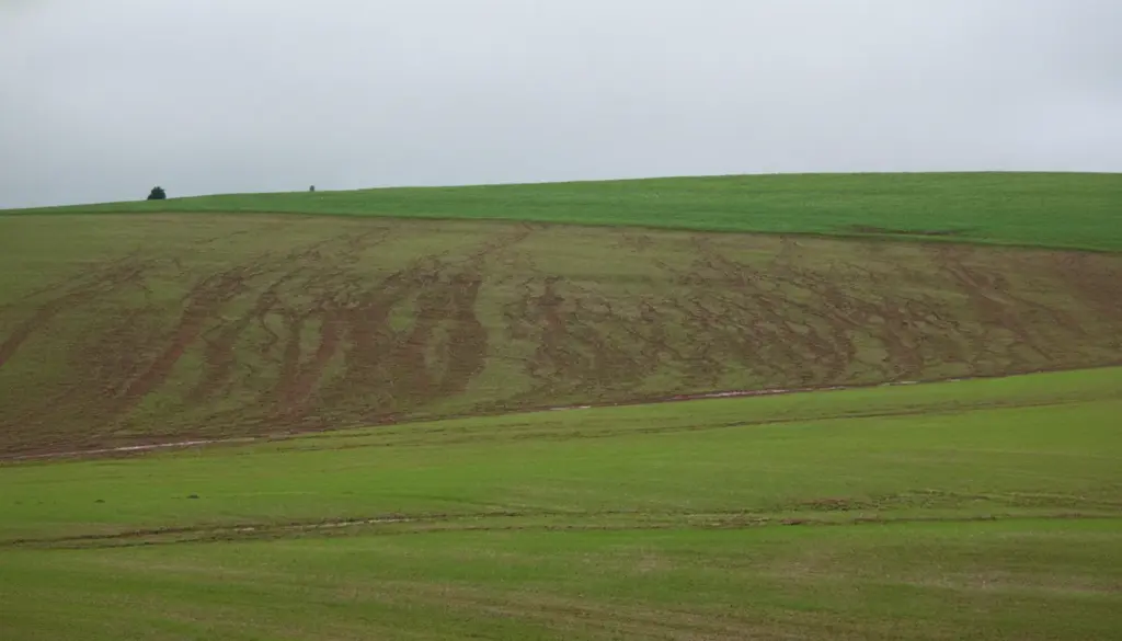 Paisagem rural com áreas de pastagem e solo exposto em diferentes trechos, em um campo verde ao fundo sob céu nublado, sugerindo práticas de pecuária regenerativa